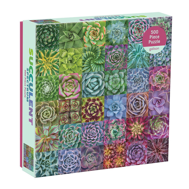 Succulent Spectrum Puzzle