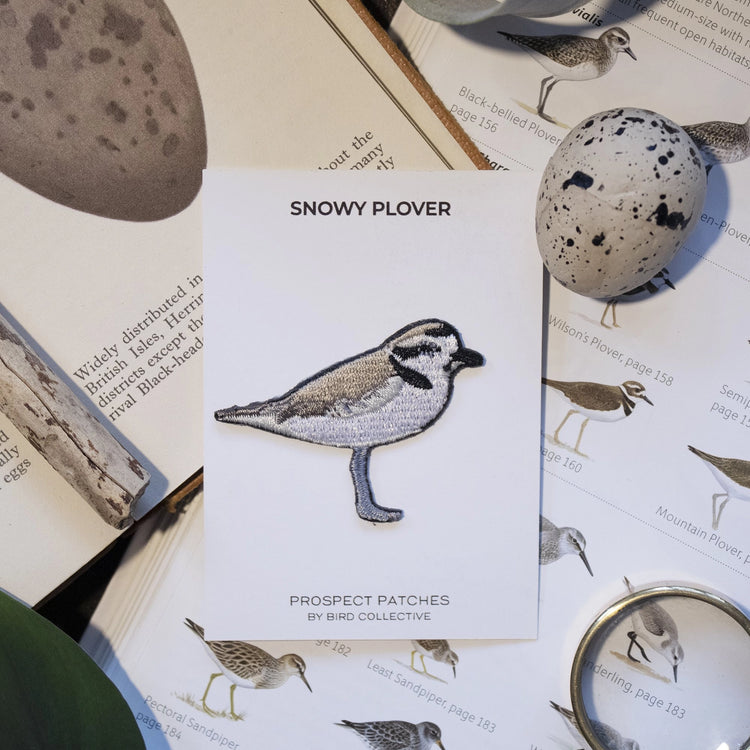 Bird Patches