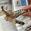 Bird Patches