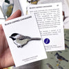 Bird Patches